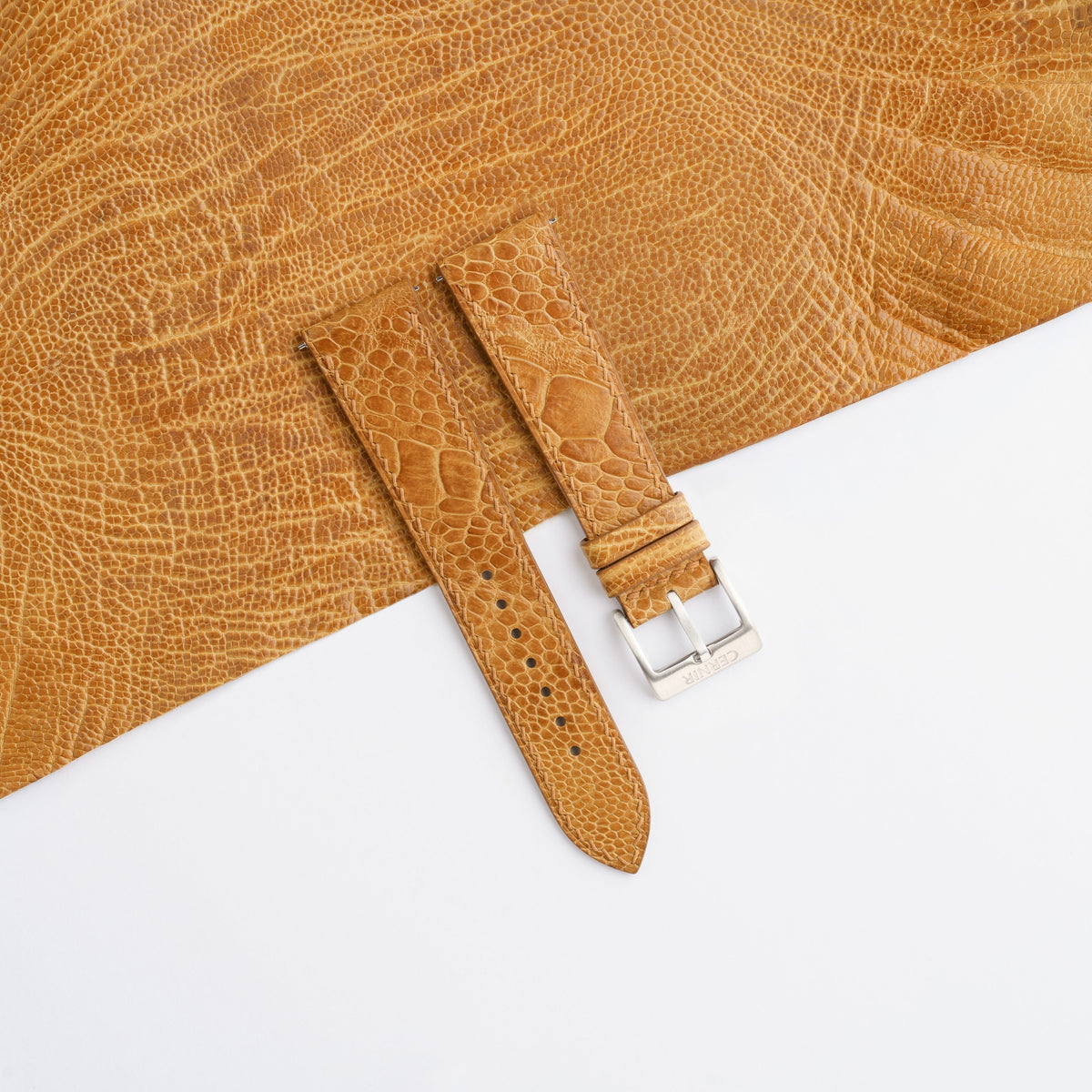 Golden brown ostrich leg slim watch strap with a steel pin buckle, laid on a matching ostrich leg skin with broad central scales