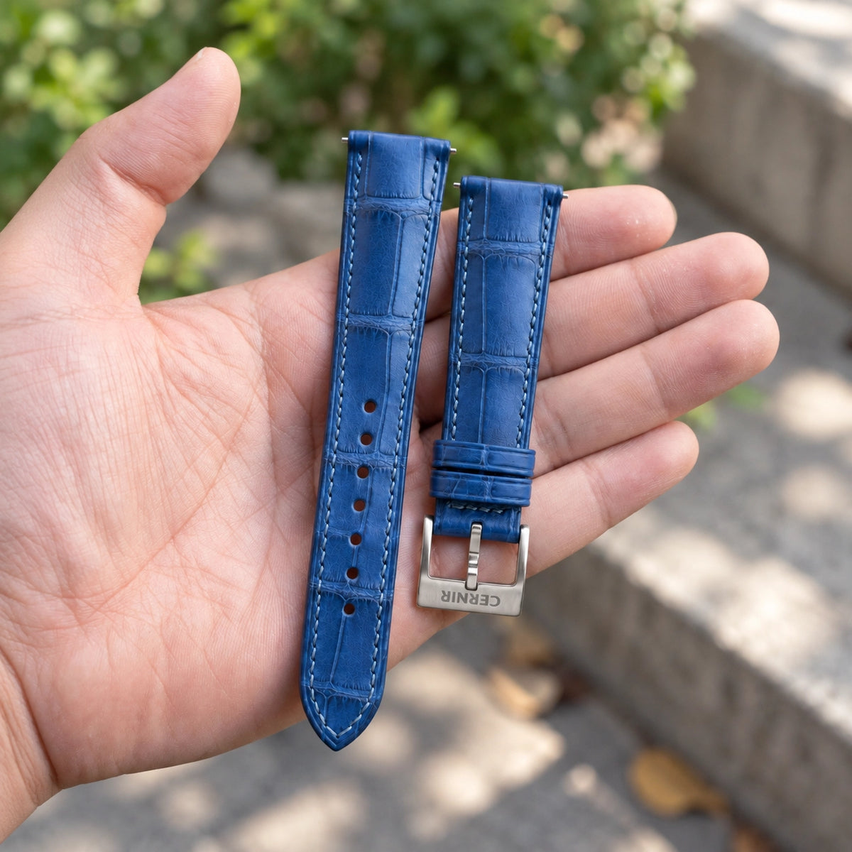 Ocean blue alligator padded watch strap with steel Cernir buckle, held in an open hand