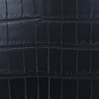 Alligator Black