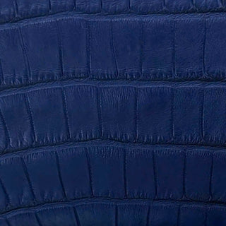 Alligator Blue
