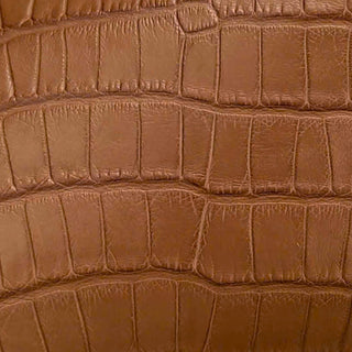 Alligator Brown