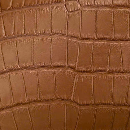 Alligator leather texture