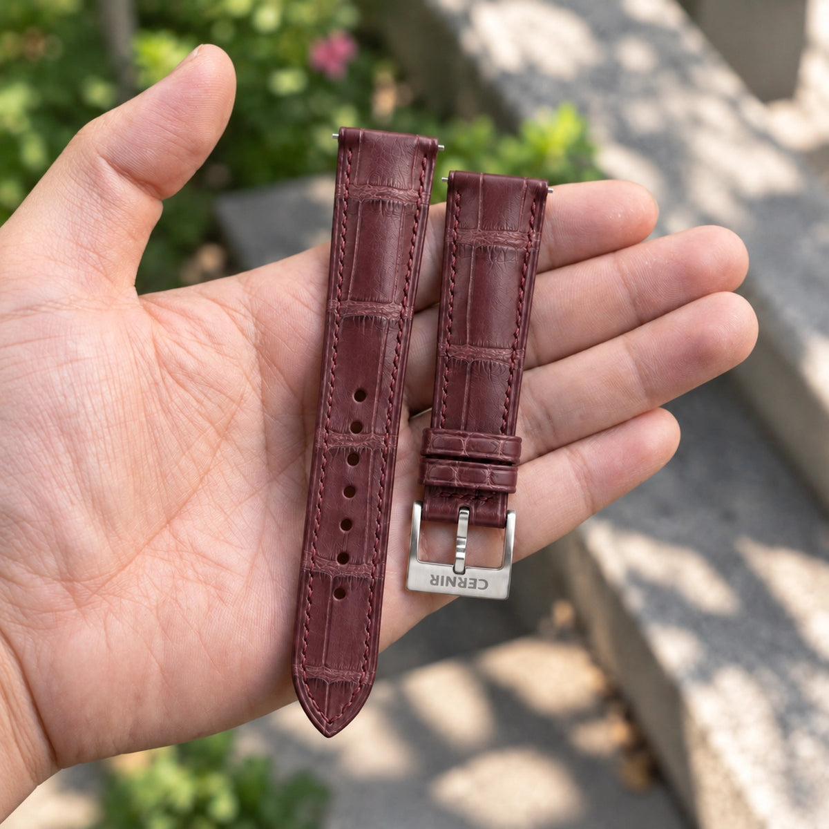 Burgundy alligator padded watch strap with steel Cernir buckle, held in an open hand