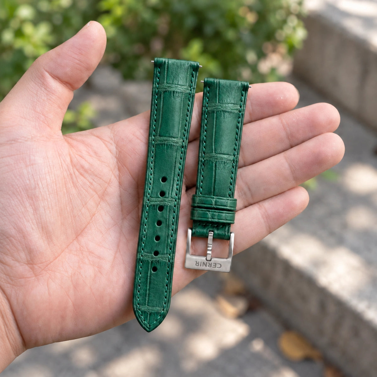 Green alligator padded watch strap with steel buckle, held in an open hand outdoors