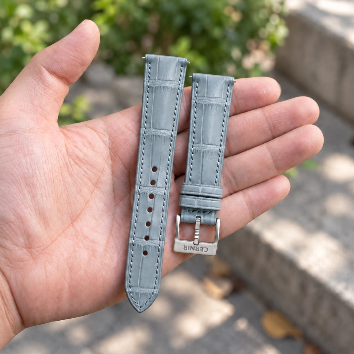 Grey alligator padded watch strap with steel Cernir buckle, held in an open hand outdoors