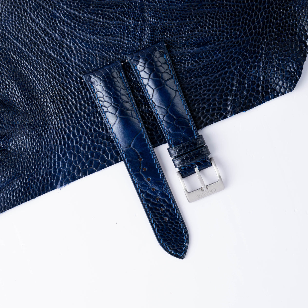 Navy ostrich padded watch strap laid on a sheet of glossy navy ostrich leg leather