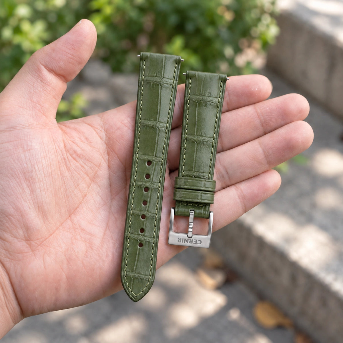 Olive green alligator padded watch strap with steel Cernir buckle, held in an open hand