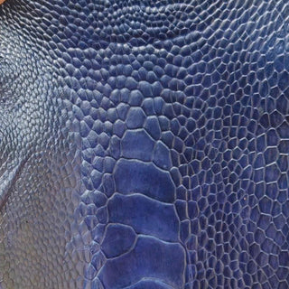 Ostrich Leg Blue