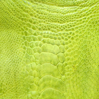 Ostrich Leg Chartreuse Green