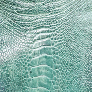 Ostrich Leg Dark Green