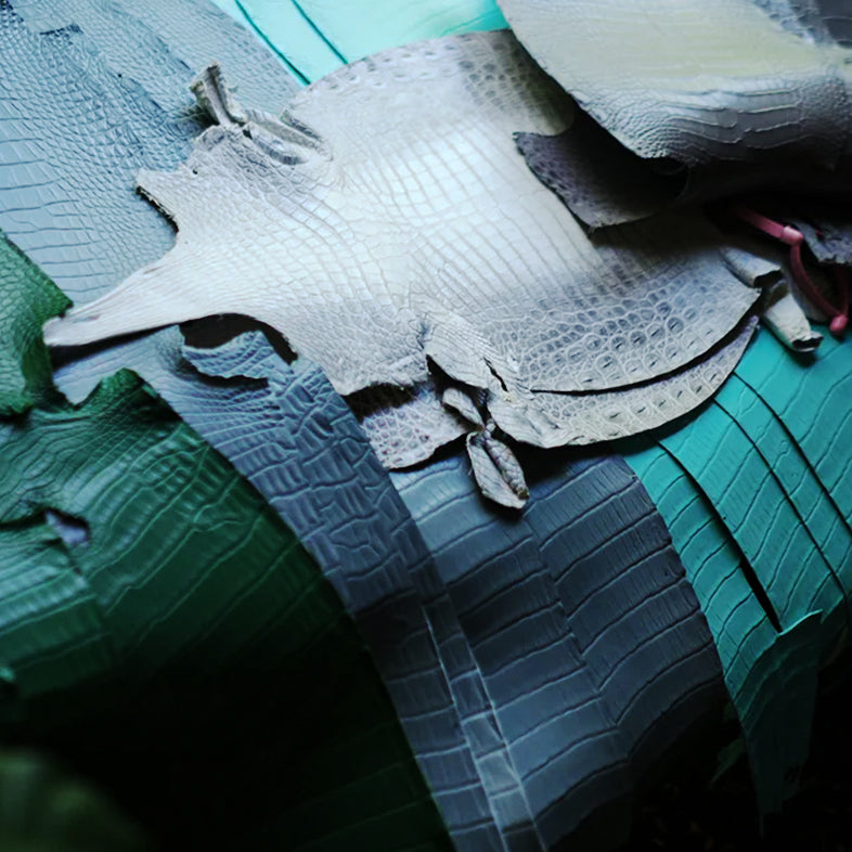 ALLIGATOR LEATHER