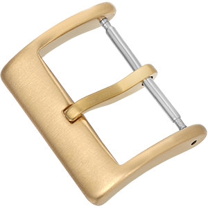 Gold buckle
