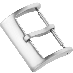 Silver buckle